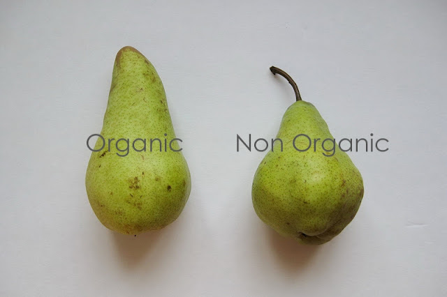 Organic food essay introduction